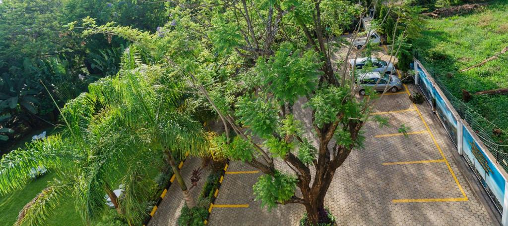 Panama Garden Resort photo