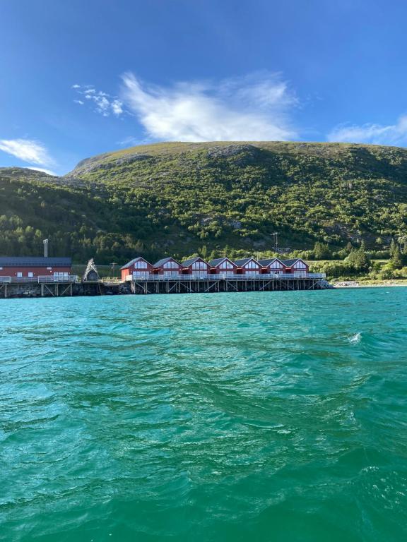 Amazing fisherman cabin in the heart of Lofoten