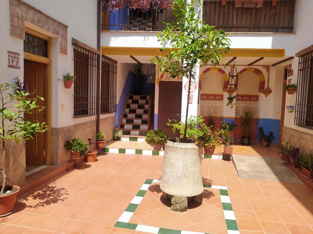 Apartamento patio de San Lorenzo VFT/CO/00990 - 5