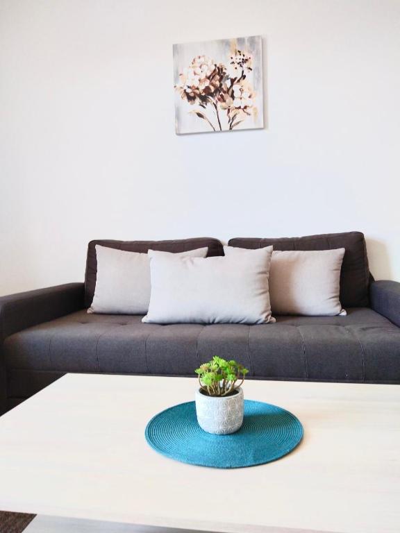 Apartment C10 Dvori - 3