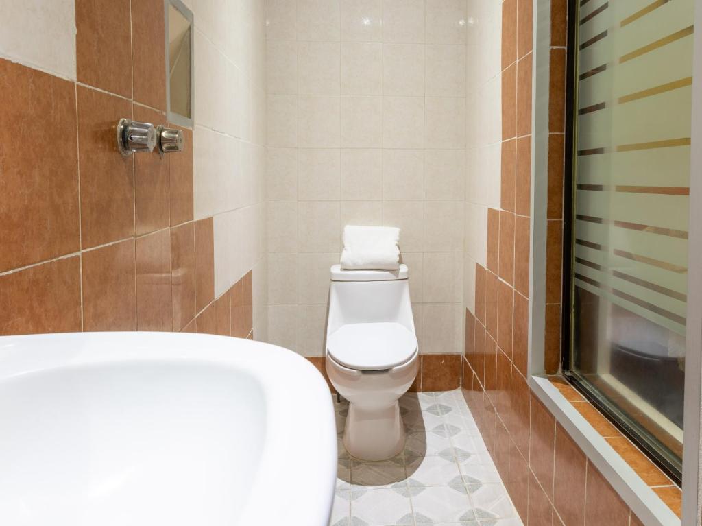Hotel Vista Alegre photo