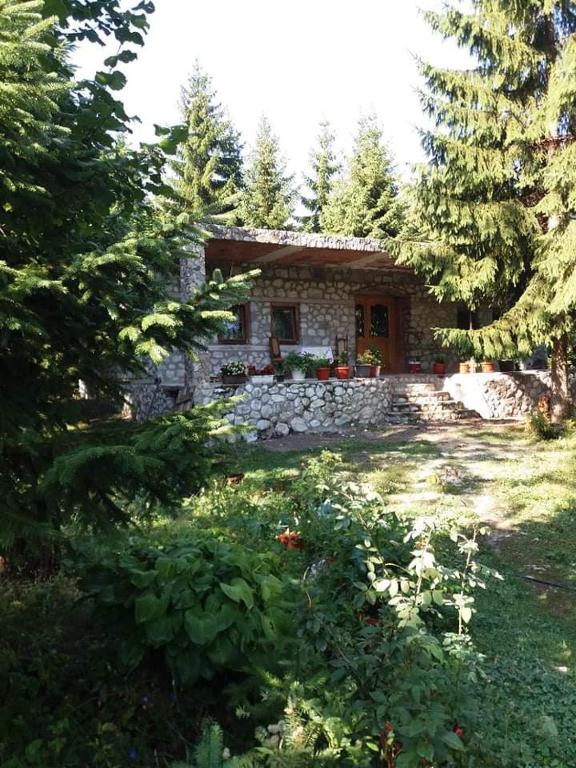 Guest house Hyrmet Demushi — Hotel in Valbonë