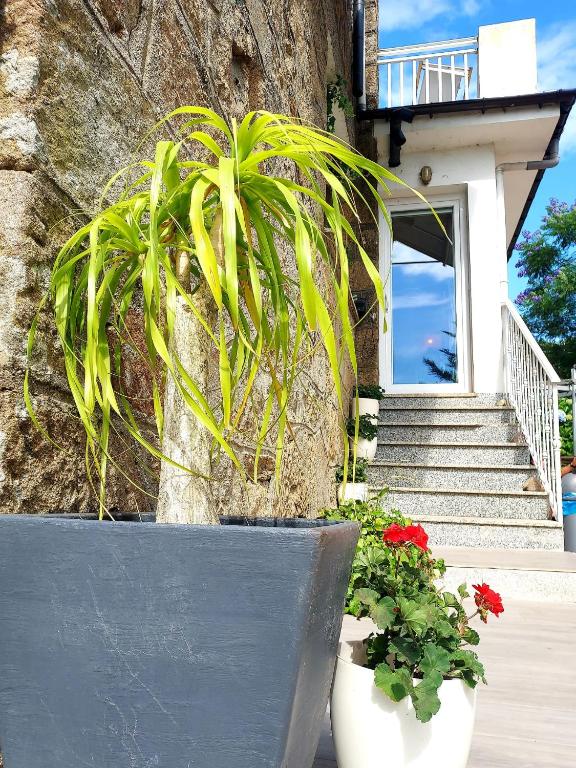 Villa Anselma, casa compartida - 4