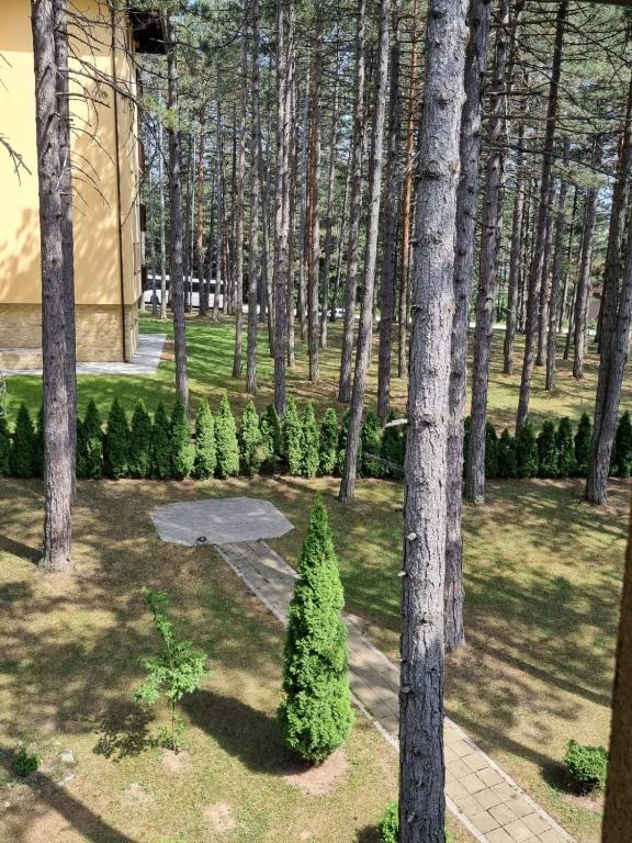Apartman Aida Zlatibor - 5