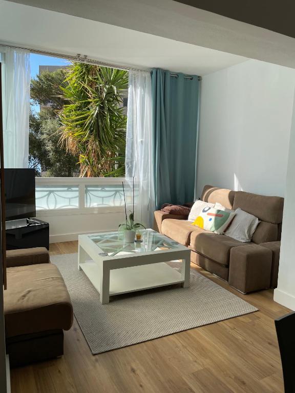 Appartement neuf, 2 chambres, climatisé, route des Sanguinaires - 4
