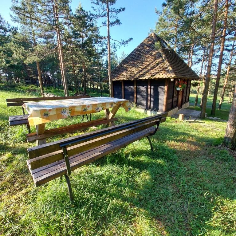 Vajat Kovacevic photo