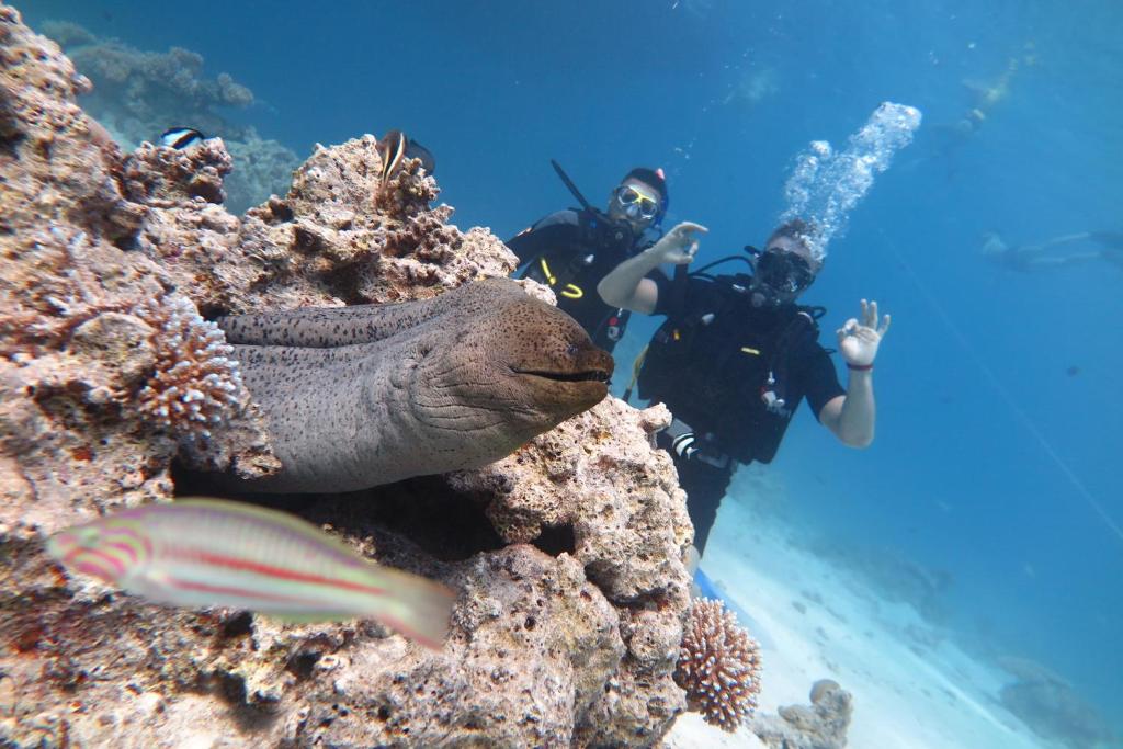 スポーツ/アクティビティ