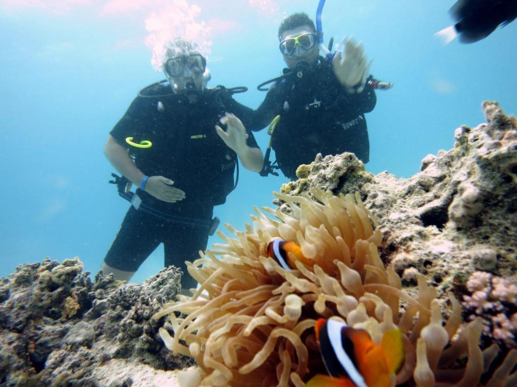 スポーツ/アクティビティ