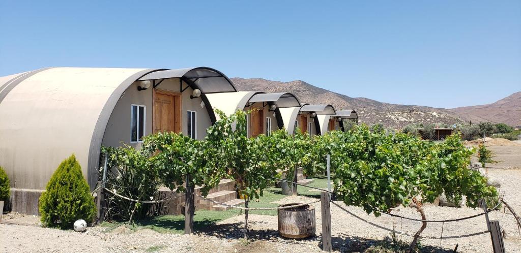 Cabanas Valle de Guadalupe — Hotel in Ensenada