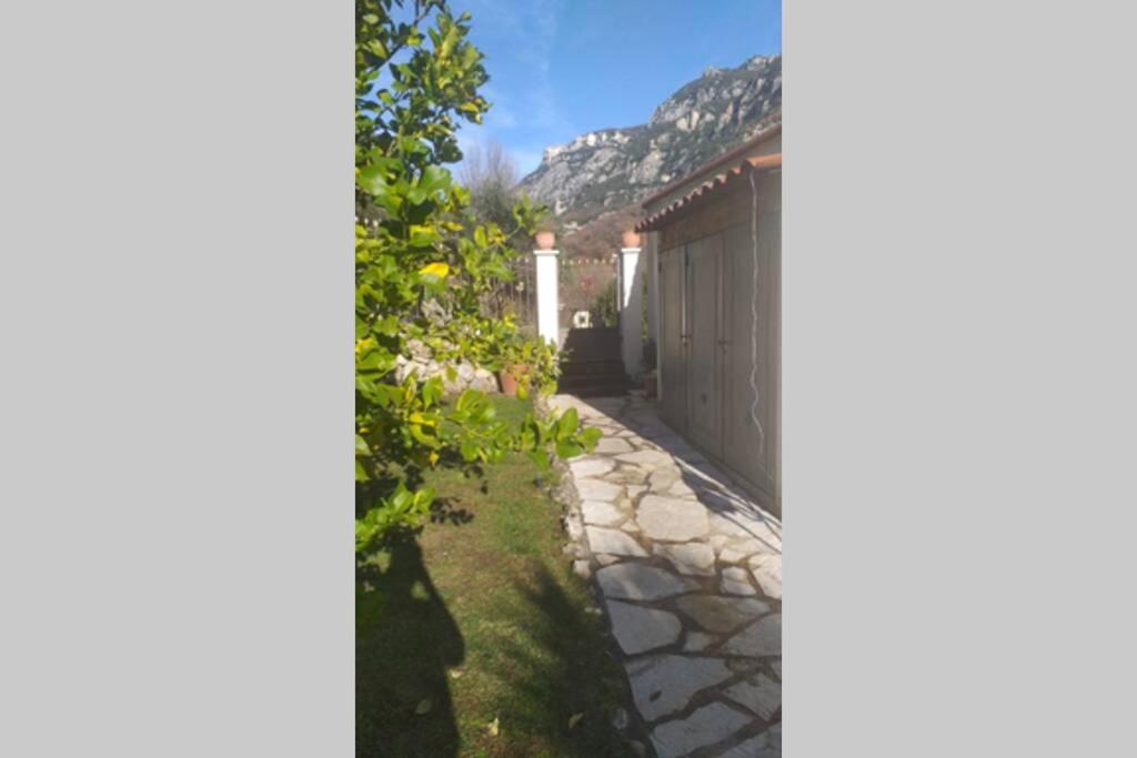 Maison avec jardin et vue - Le Pont du Loup 06 - 4