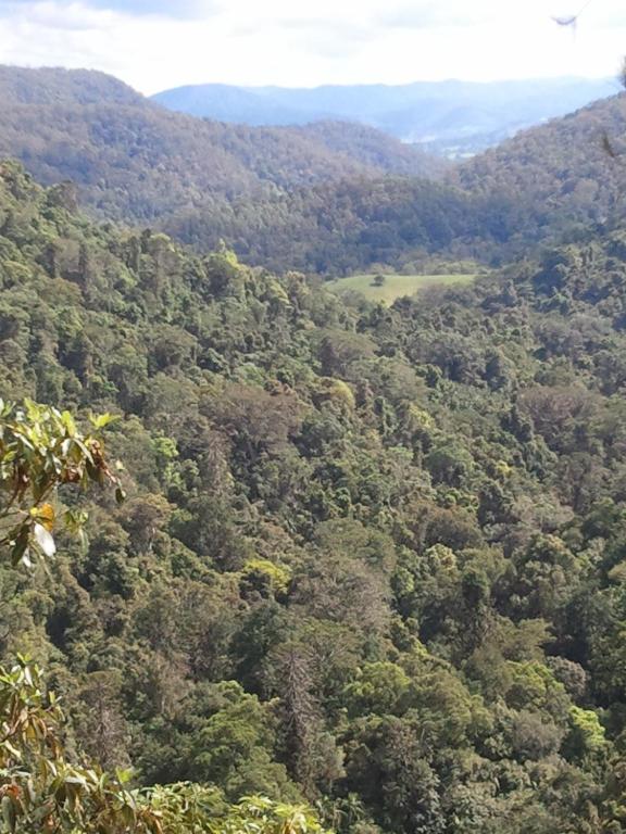 Sunshine Coast Kondalilla Eco Resort Additional