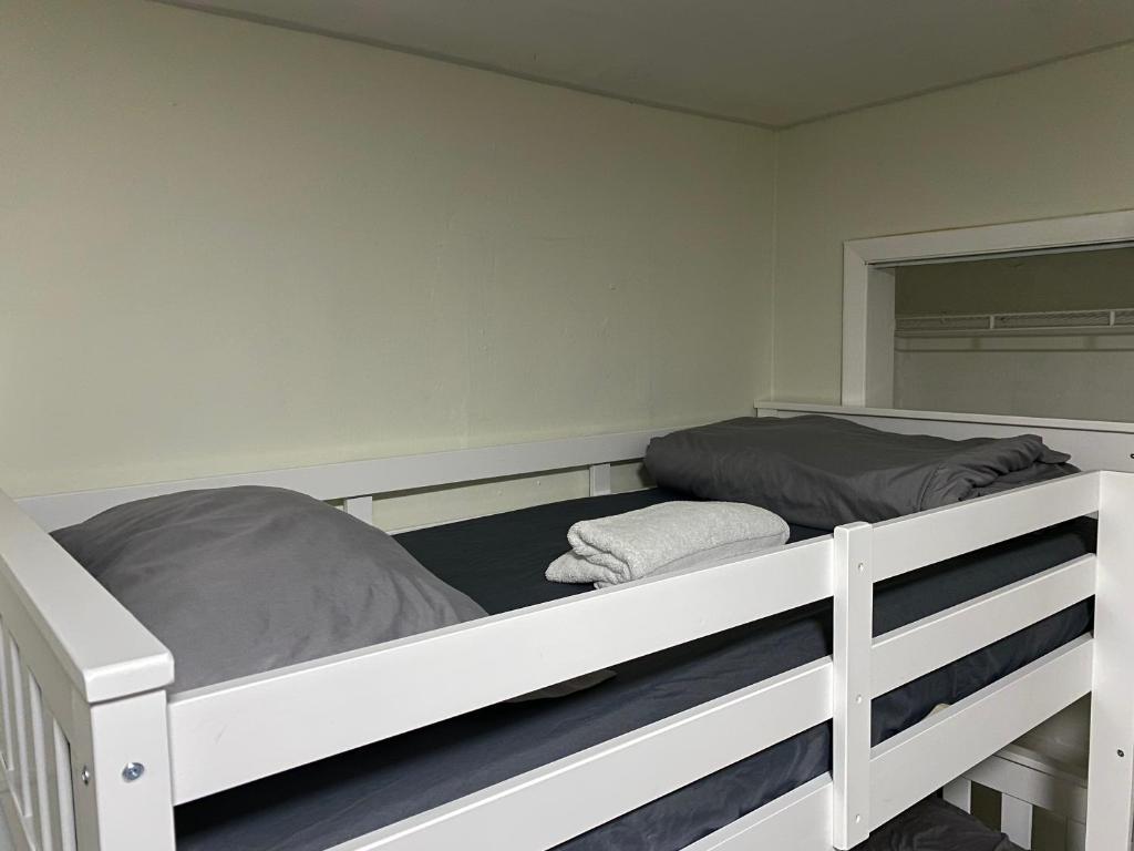 Single Size TOP Bunk Bed - Mixed Shared ROOM photo