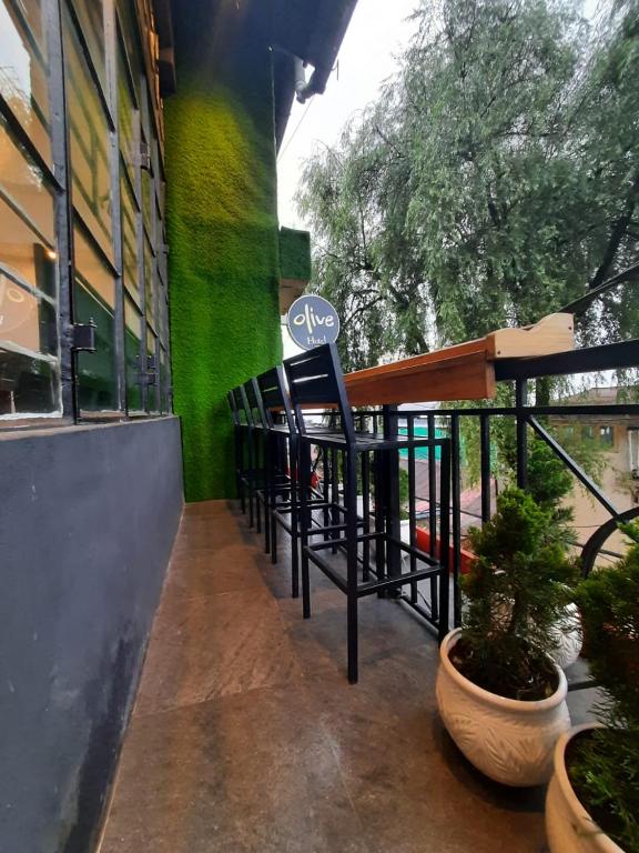 お料理のイメージ