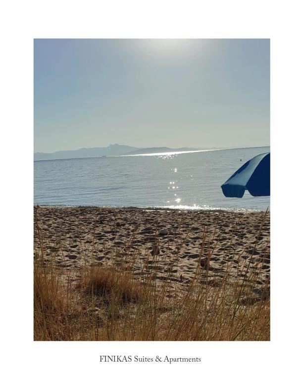 FINIKAS Suites & Apartments 10min from Athens Airport photo