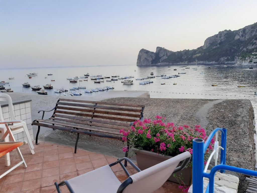 Terrace On The Sea - 4