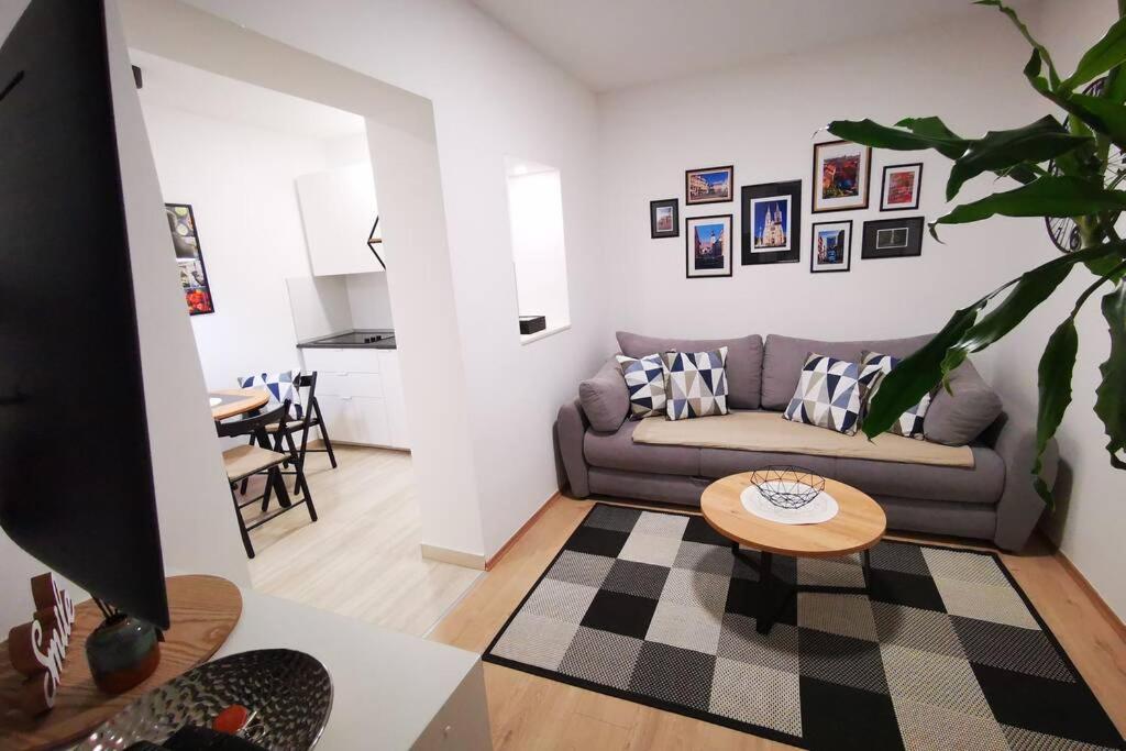 BRAND NEW place in heart of Zagreb big terrace 전경