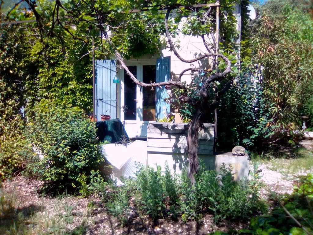 Le Domaine de Belle - 1