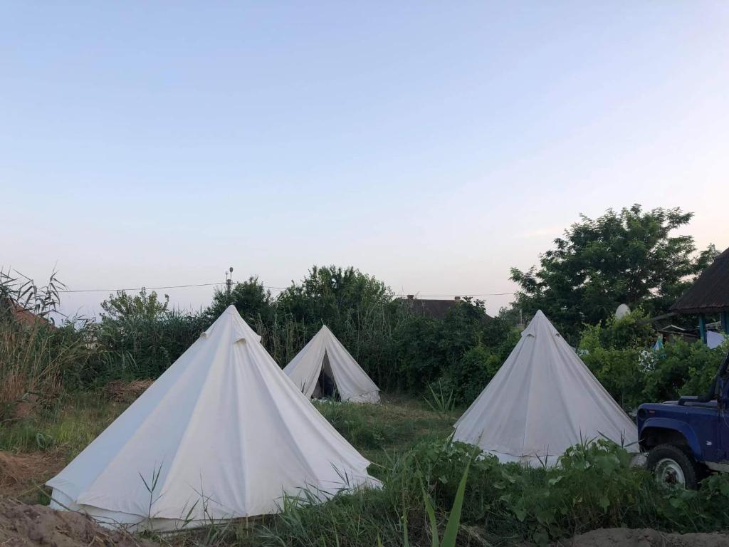 Danube Delta Hostel Homestay & Camping photo