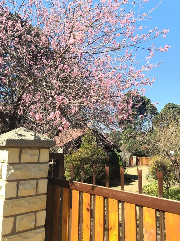 Clarens Log Cabin photo