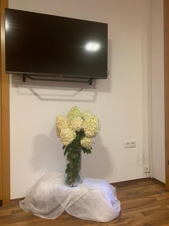 Schilcherland-Apartment - 4
