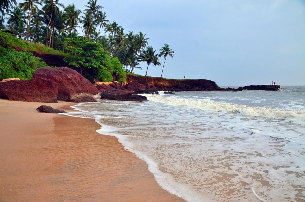 Ocean Green Kerala photo