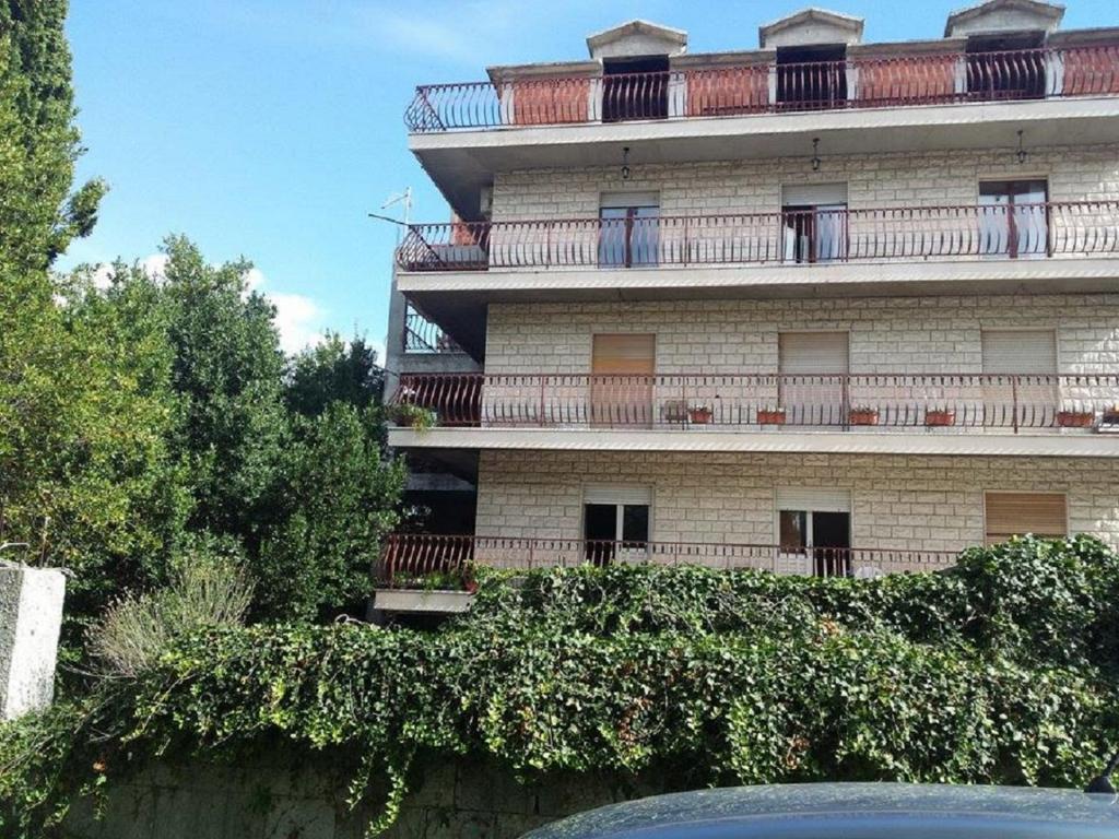 Guest House Adriatic photo