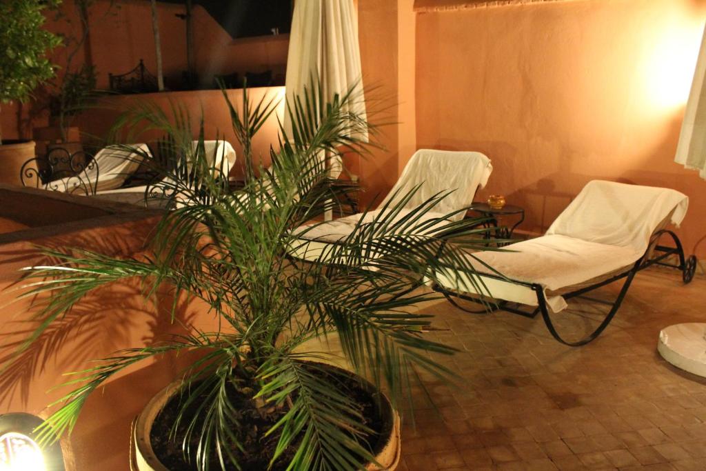 Riad Smara photo