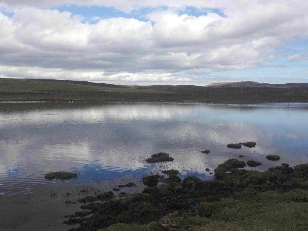 Surrounding environment