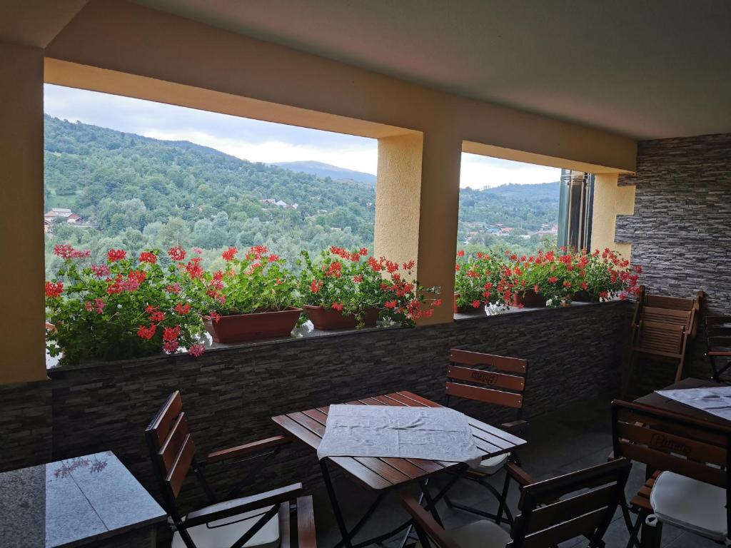 Doftana Apartaments photo