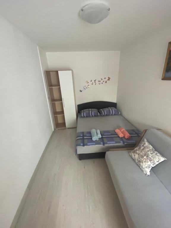 Apartment Divna photo