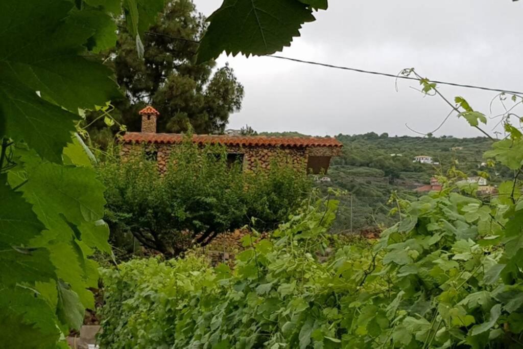 LA TAGORA Conect with the nature & relax - 3
