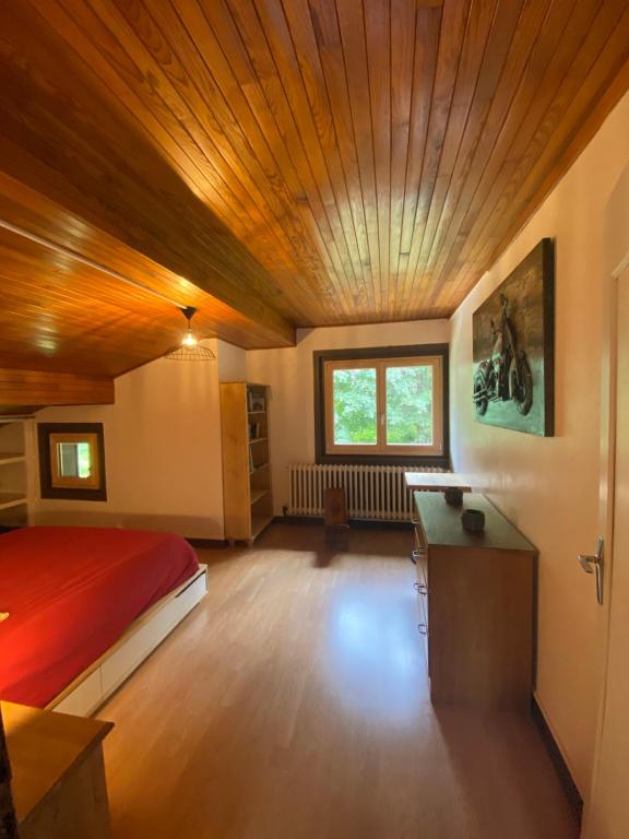 Logement mansardé dans maison avec jardin en bord de piste, vue montagne - 4