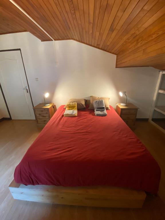 Logement mansardé dans maison avec jardin en bord de piste, vue montagne - 5