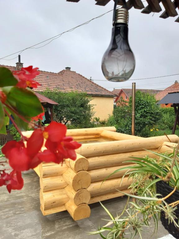 Becze Vanda kulcsoshaz photo