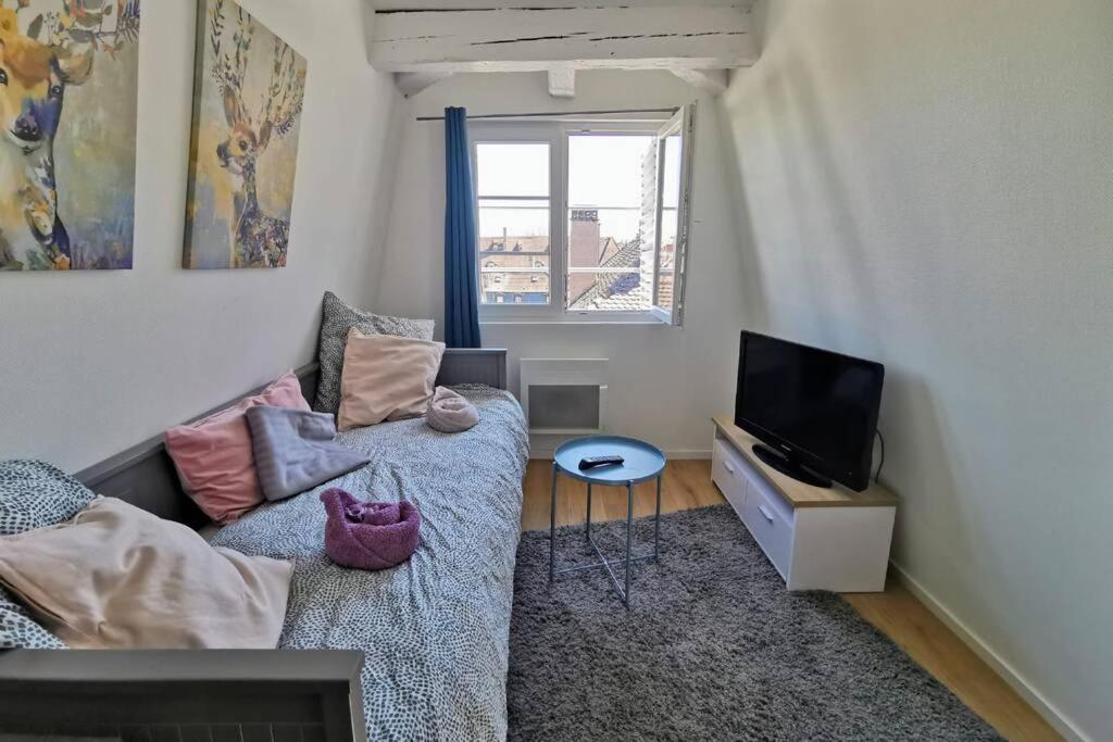 ** appartement cathédrale Strasbourg centre** - 2