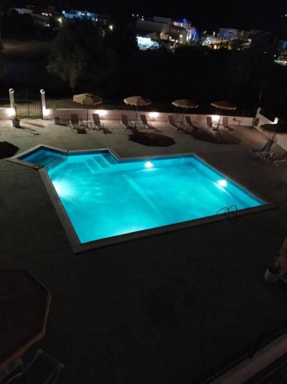 Butterfly Studios Photo 8