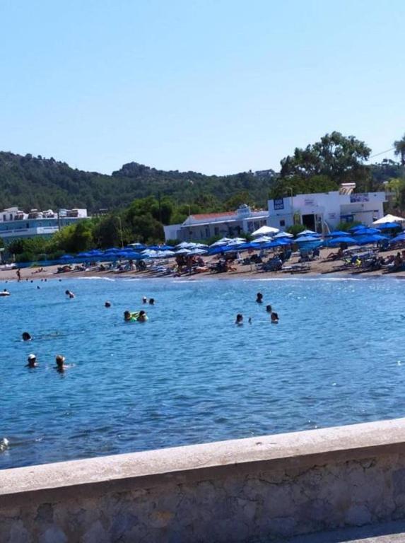 Butterfly Studios Photo 9