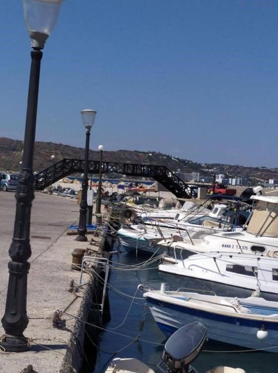 Butterfly Studios Photo 11