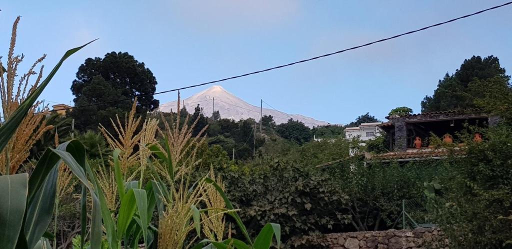 LA TAGORA Conect with the nature & relax - 5