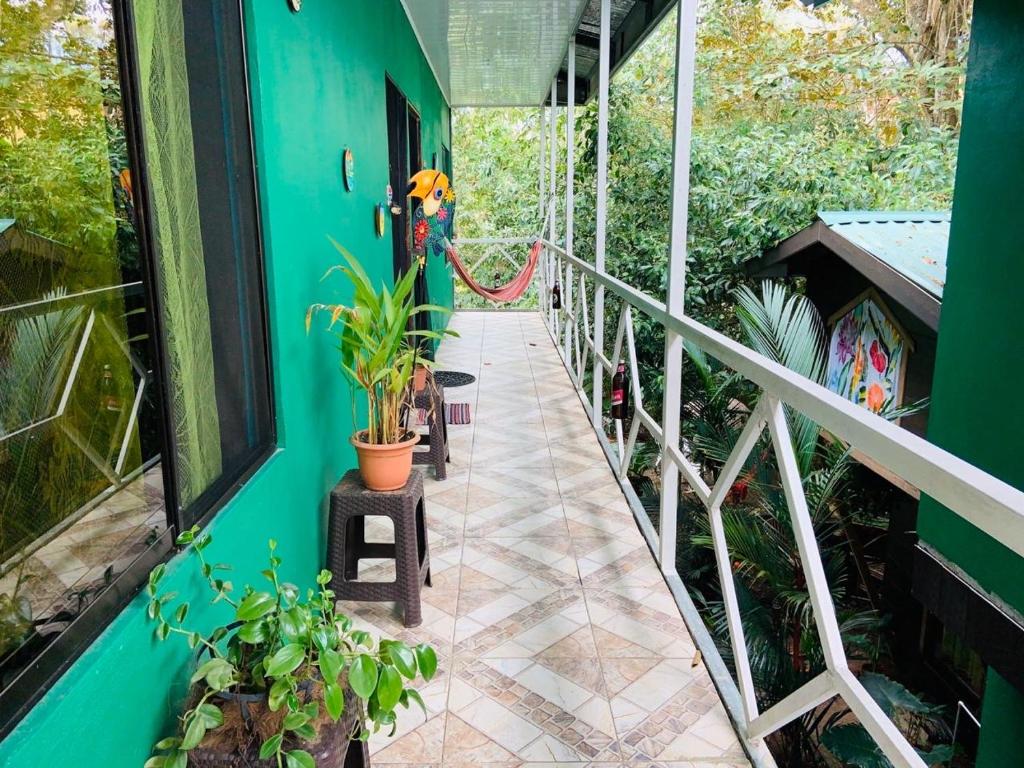 Guest House Pura Vida