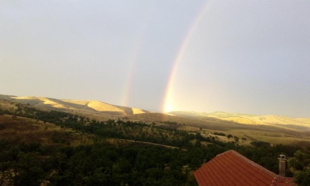 Vila Bliznakinja B - 3