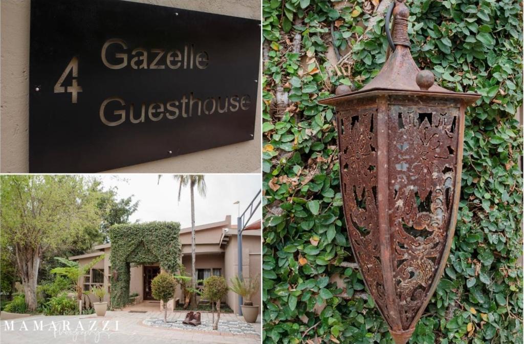 4 Gazelle Guesthouse photo