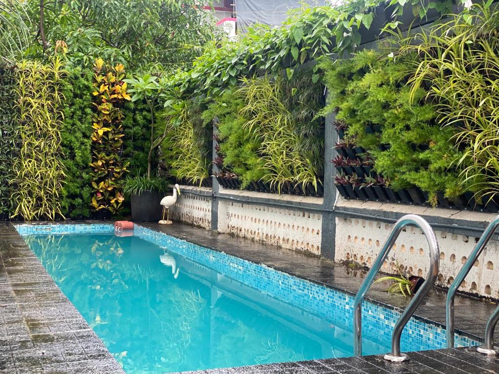 Blossom villa photo