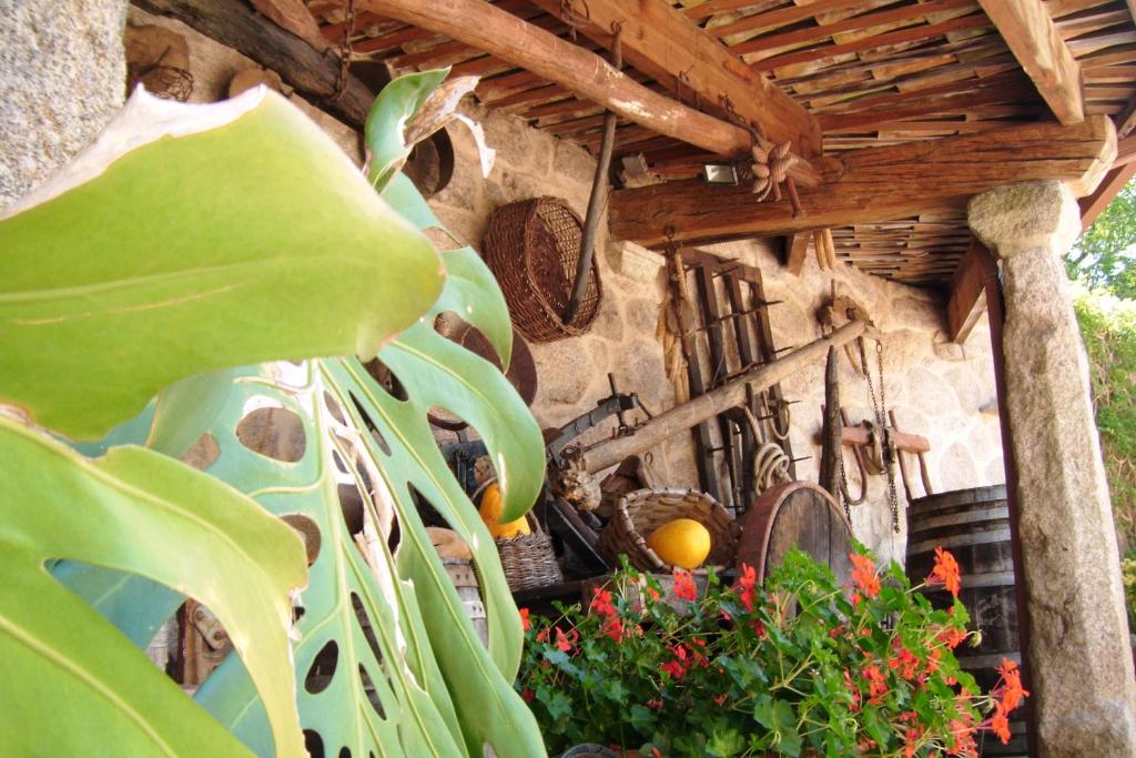 Casa Ameneiros - 4