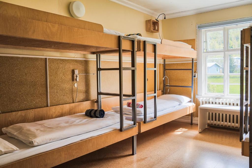 Single Bed in 6-Bed Dormitory Room