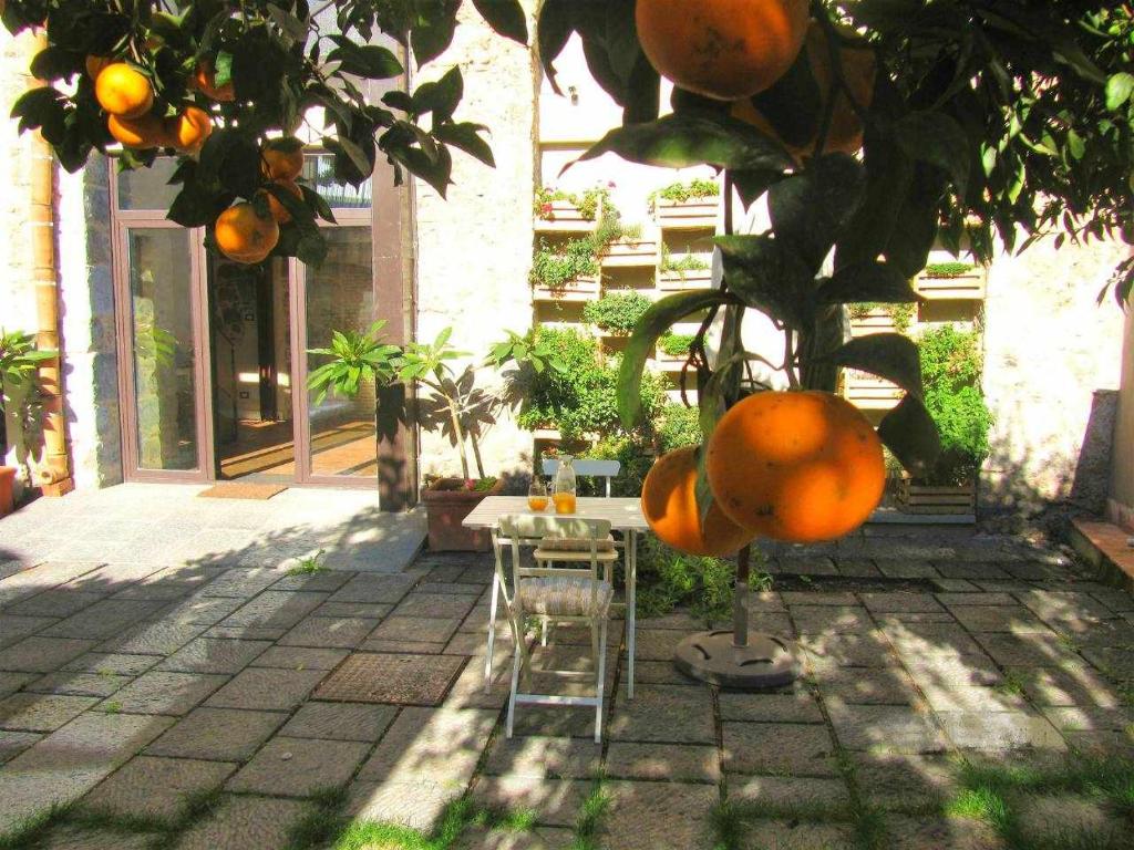 B&B ComeinSicily Corte dei Limoni - Charme & Relax - 5