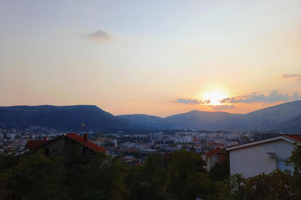 Luna APARTMANI photo