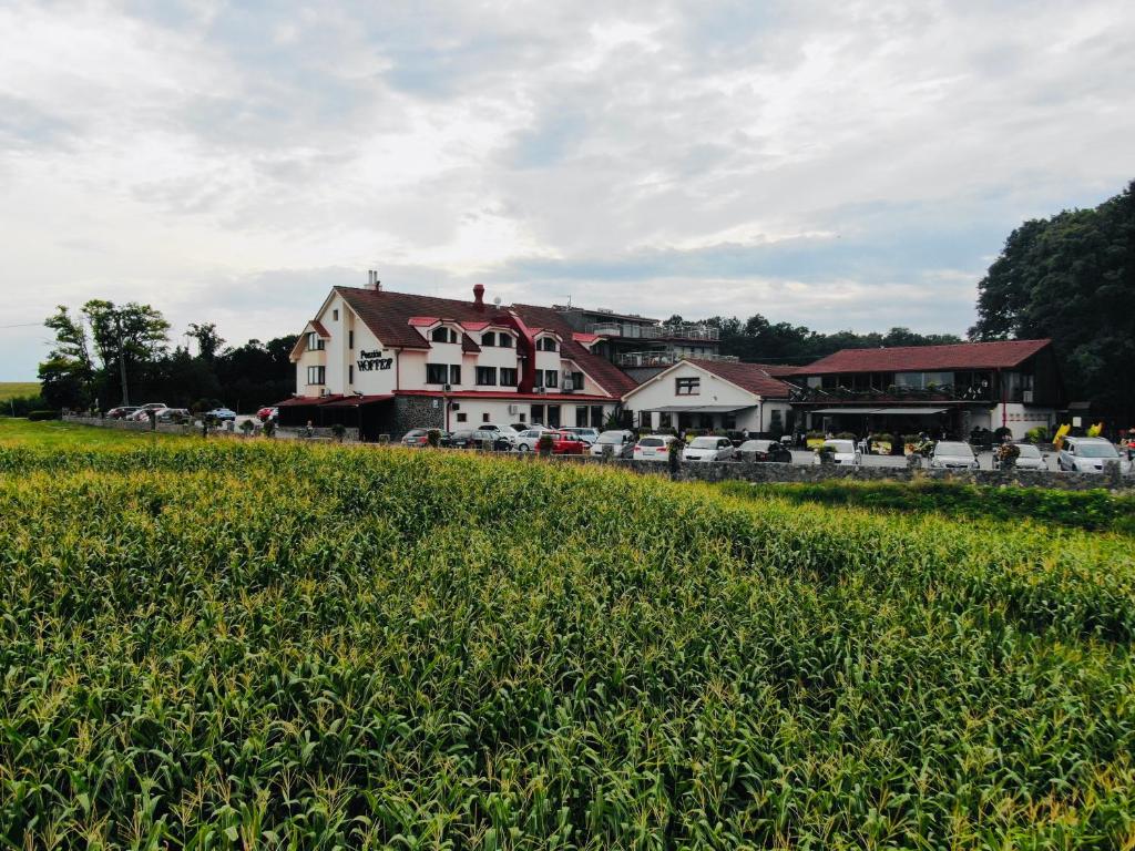 Penzion Hoffer — Hotel in Nitra