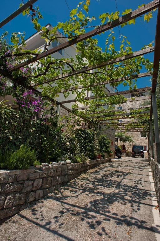 Guest House Maslina - 2