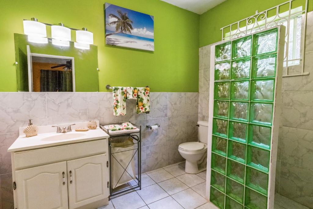 Mountain View Montego Bay Surprise Villa photo